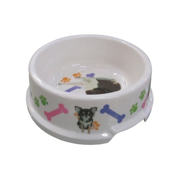 Πλαστικό πιατάκι σκύλου [10501418]